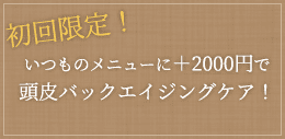 初回限定いつものメニューに+2000円で頭皮バックエイジングケア