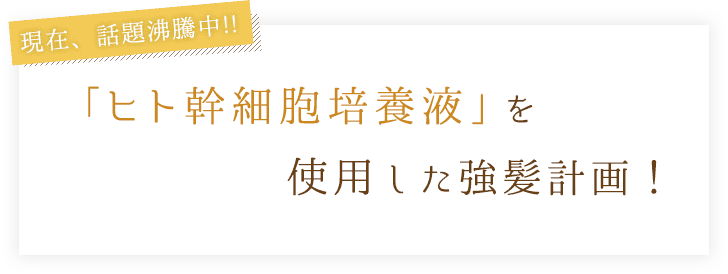 現在、話題沸騰中!!「ヒト幹細胞培養液」を使用した強髪計画！